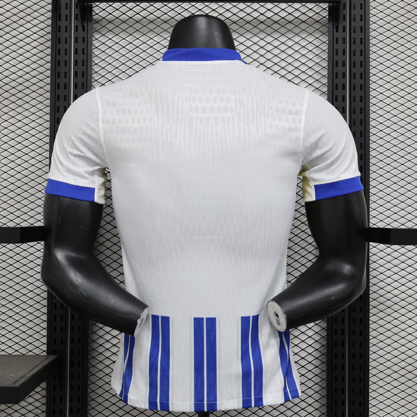 Brighton & Hove Albion 24/25 Player Edition Football Jersey