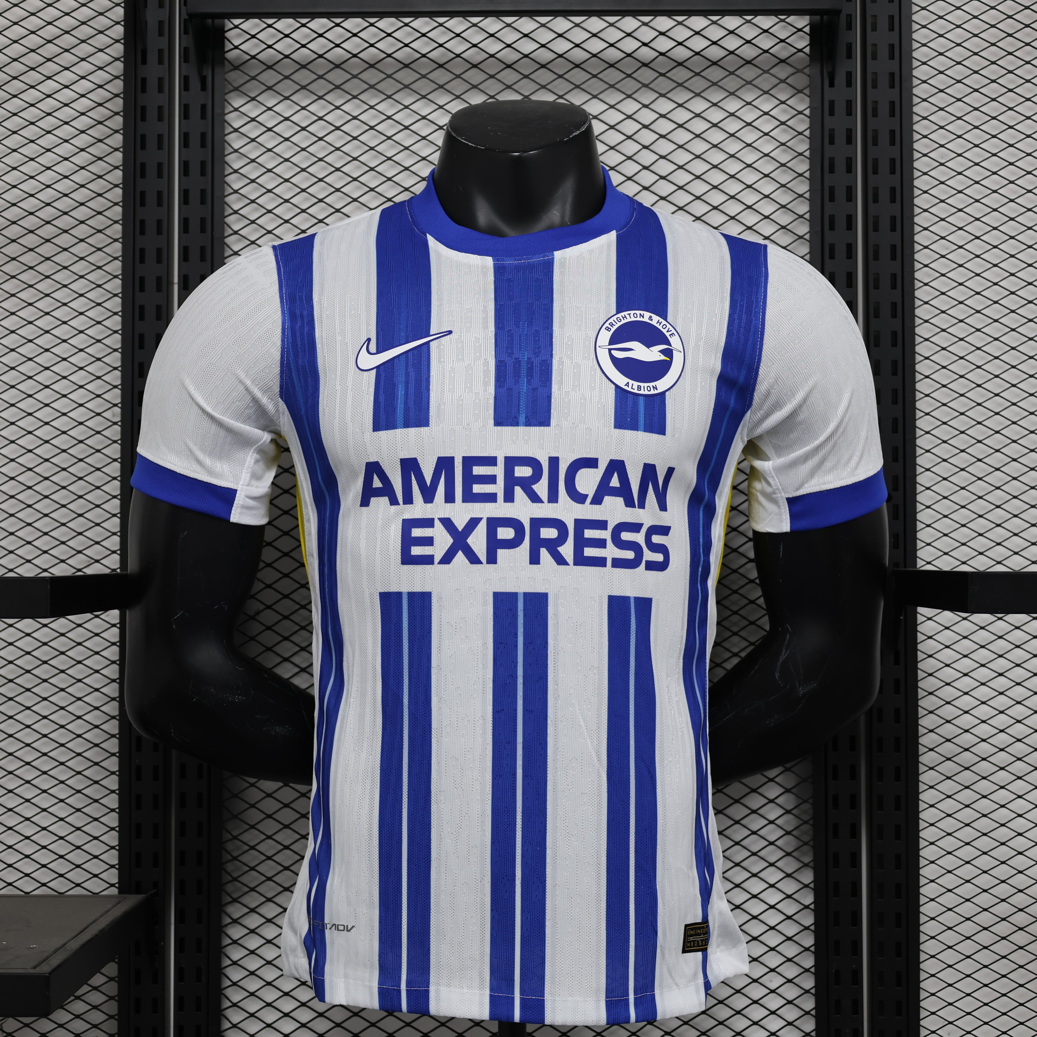 Brighton & Hove Albion 24/25 Player Edition Football Jersey