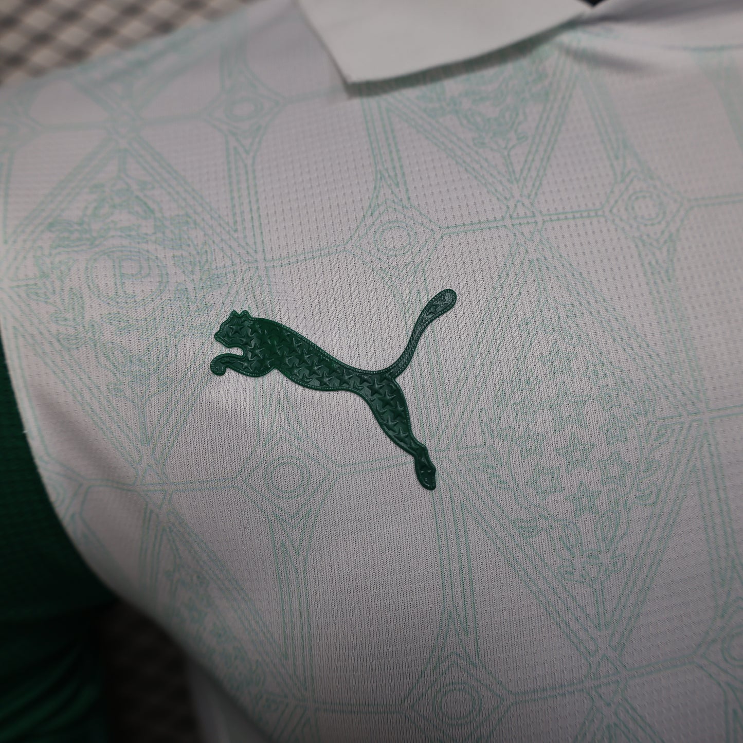 Palmeiras 24/25 Player Edition Football Jersey
