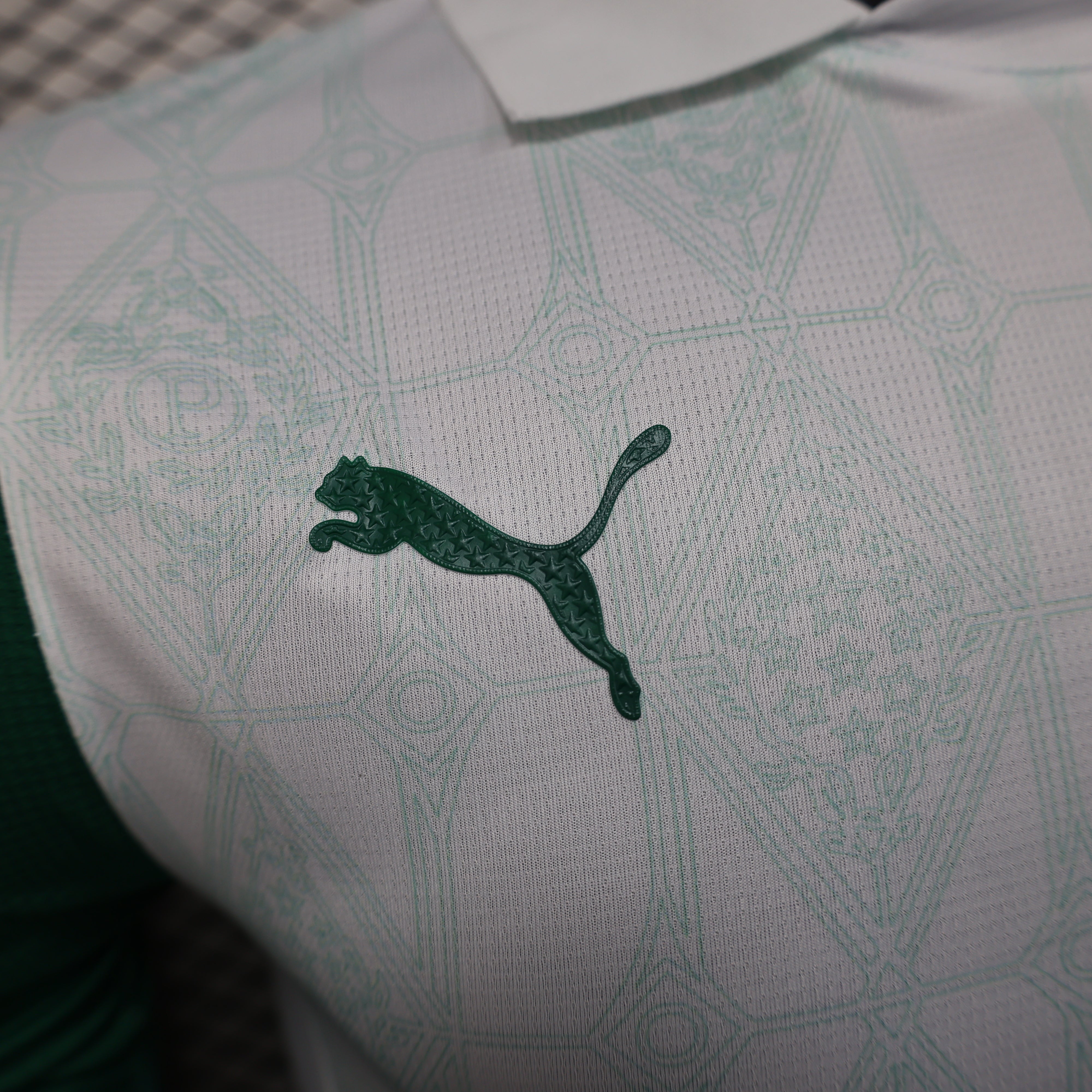 Palmeiras 24/25 Player Edition Football Jersey