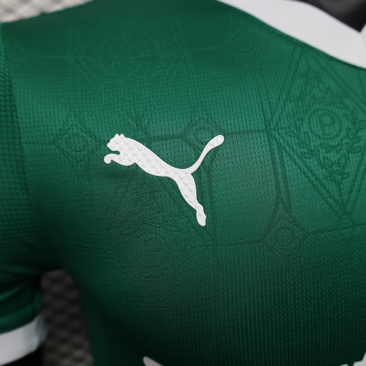 Palmeiras 24/25 Player Edition Football Jersey