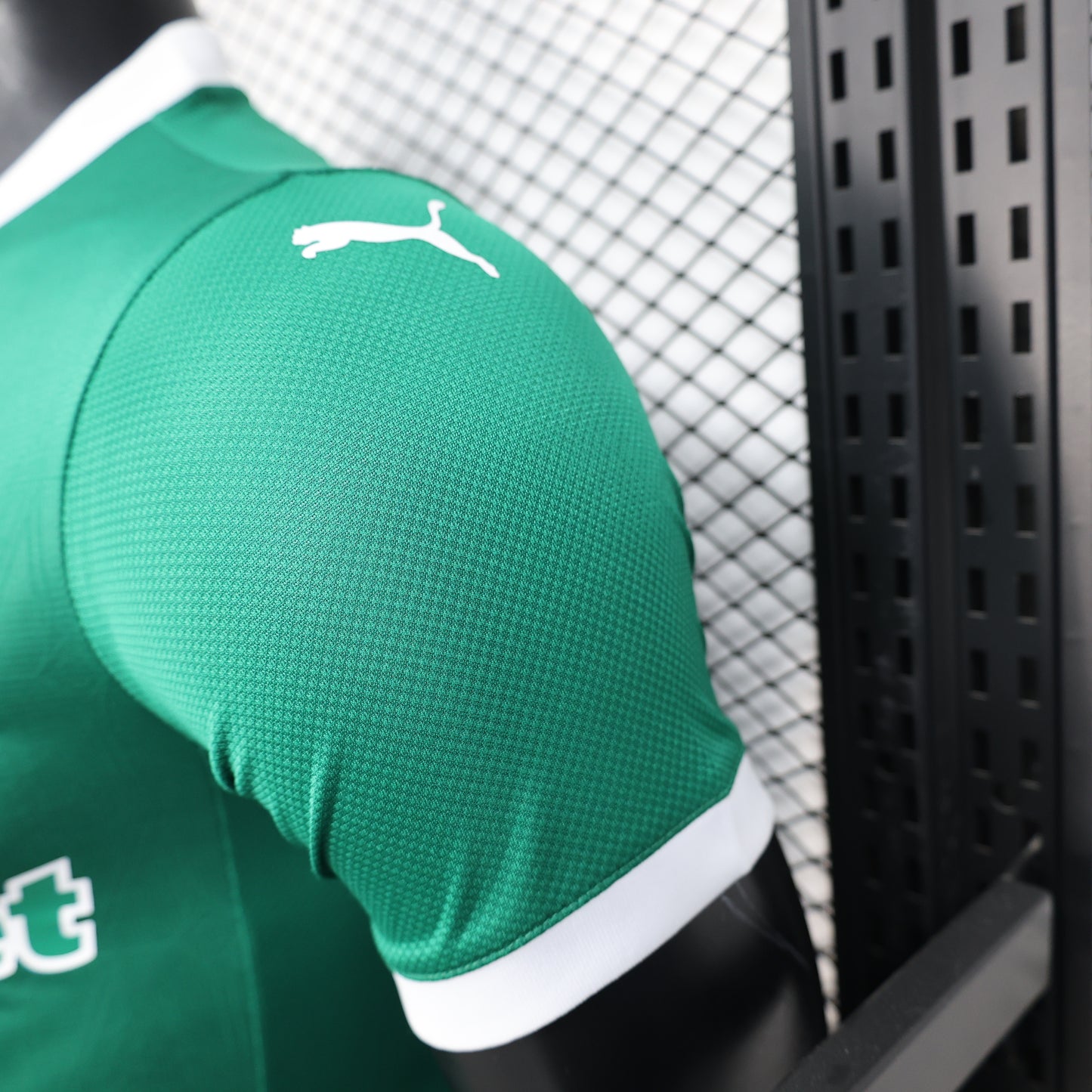 Palmeiras 24/25 Player Edition Football Jersey