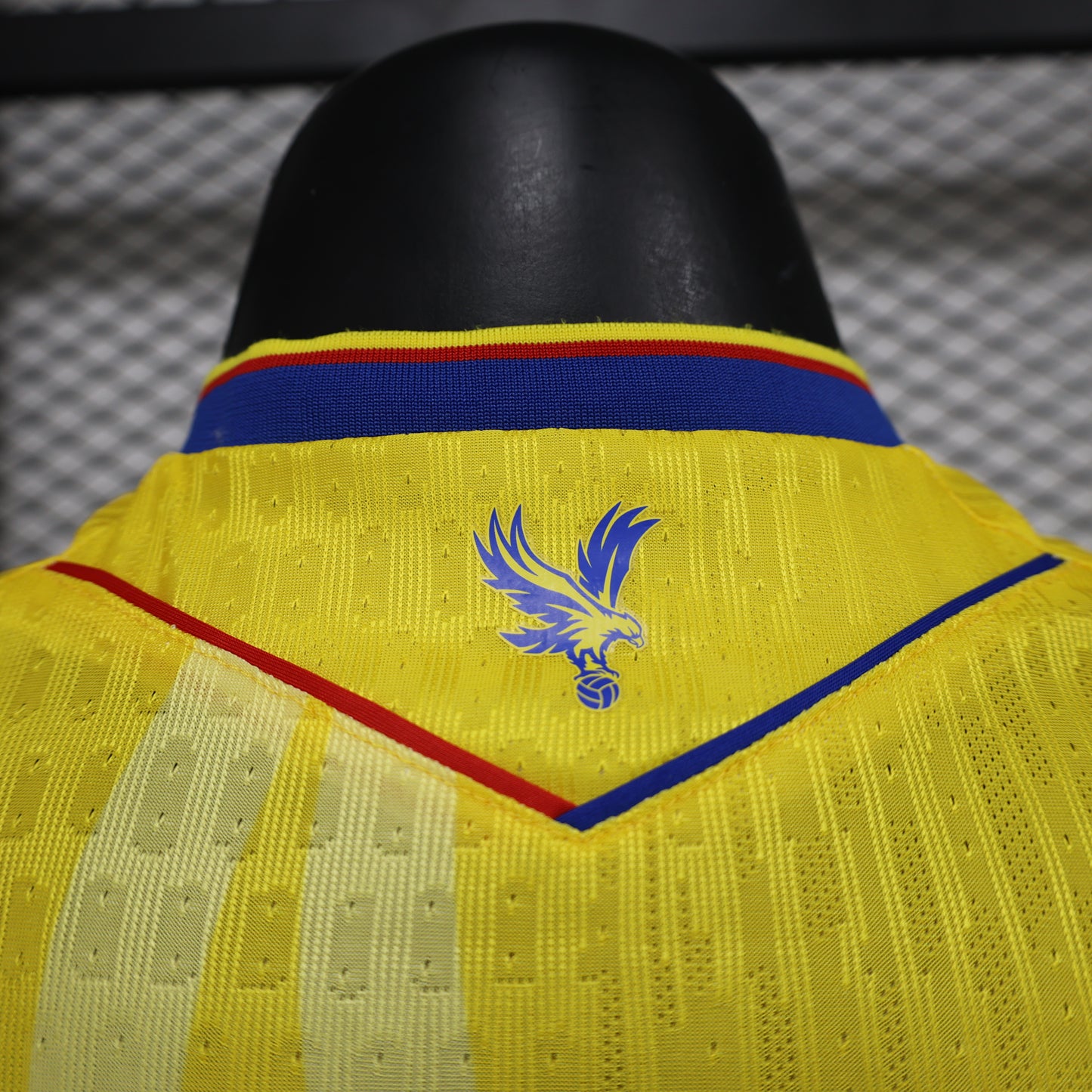 Tottenham Hotspur 24/25 Player Edition Football Jersey