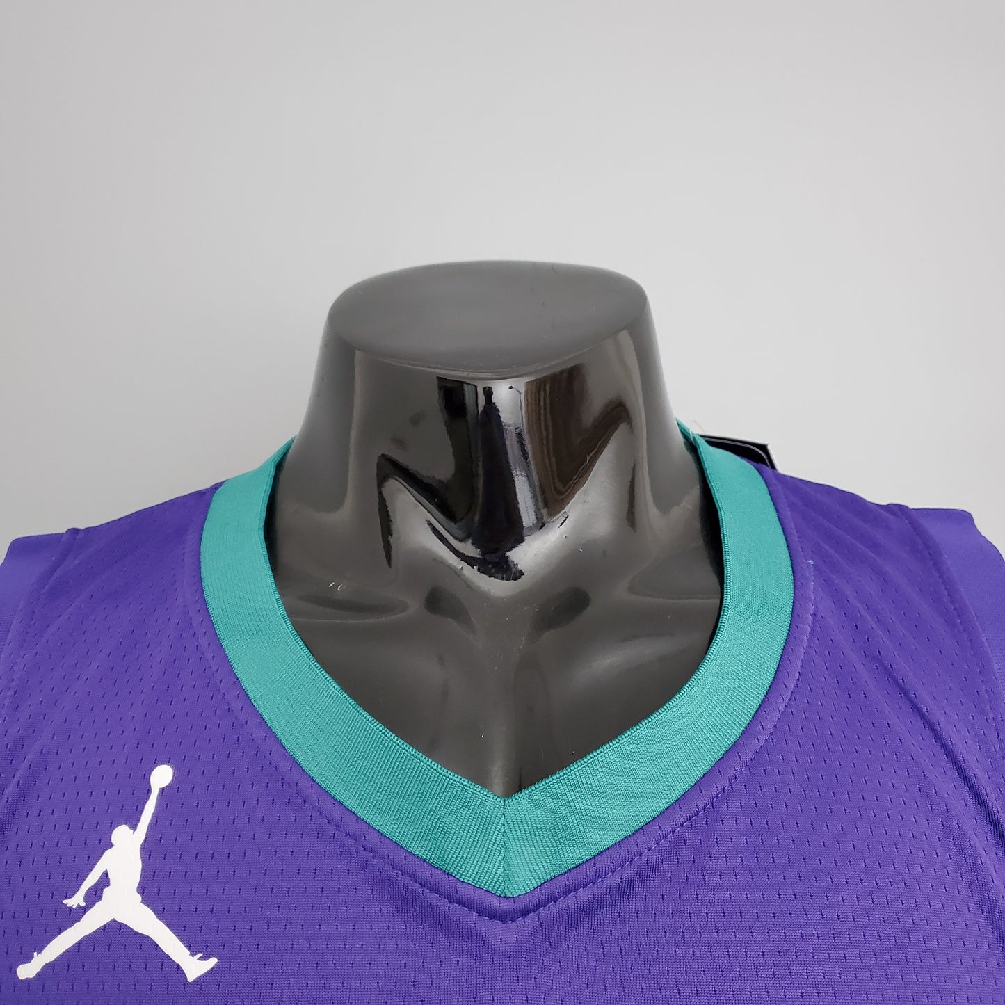 2023 Charlotte Hayward #20 Swingman Edition Jersey