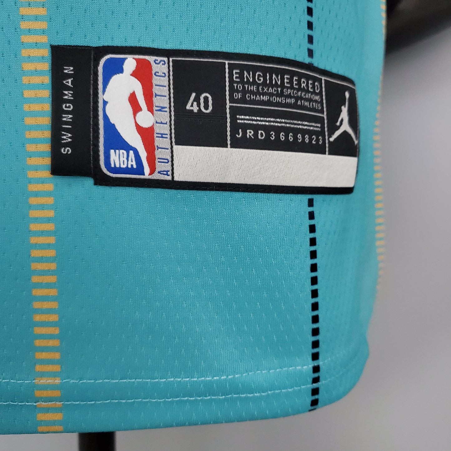 2023 Charlotte Hornets Hayward #20 Swingman Edition Jersey