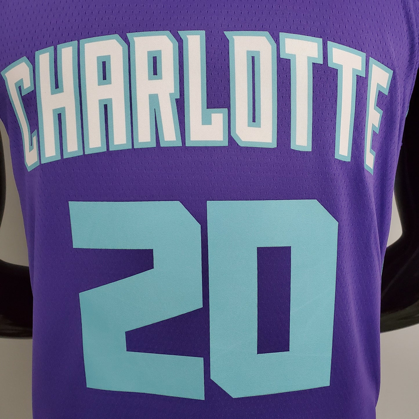 2023 Charlotte Hayward #20 Swingman Edition Jersey