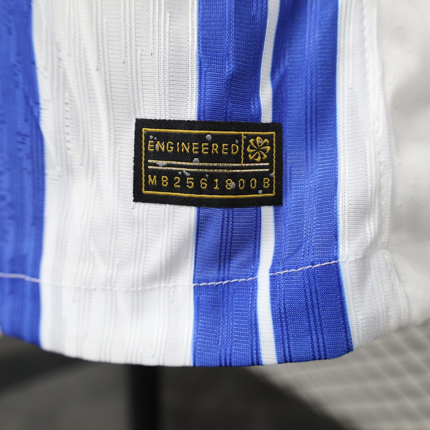 Brighton & Hove Albion 24/25 Player Edition Football Jersey