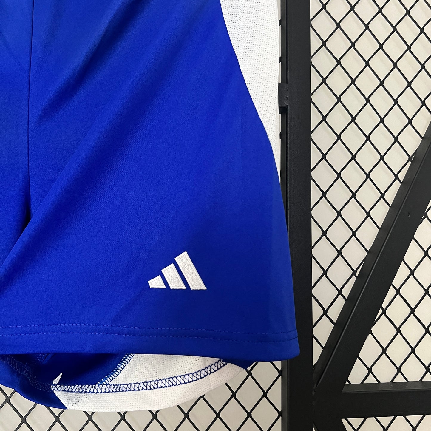 Unknown Team 24/25 Player Edition Shorts – Home