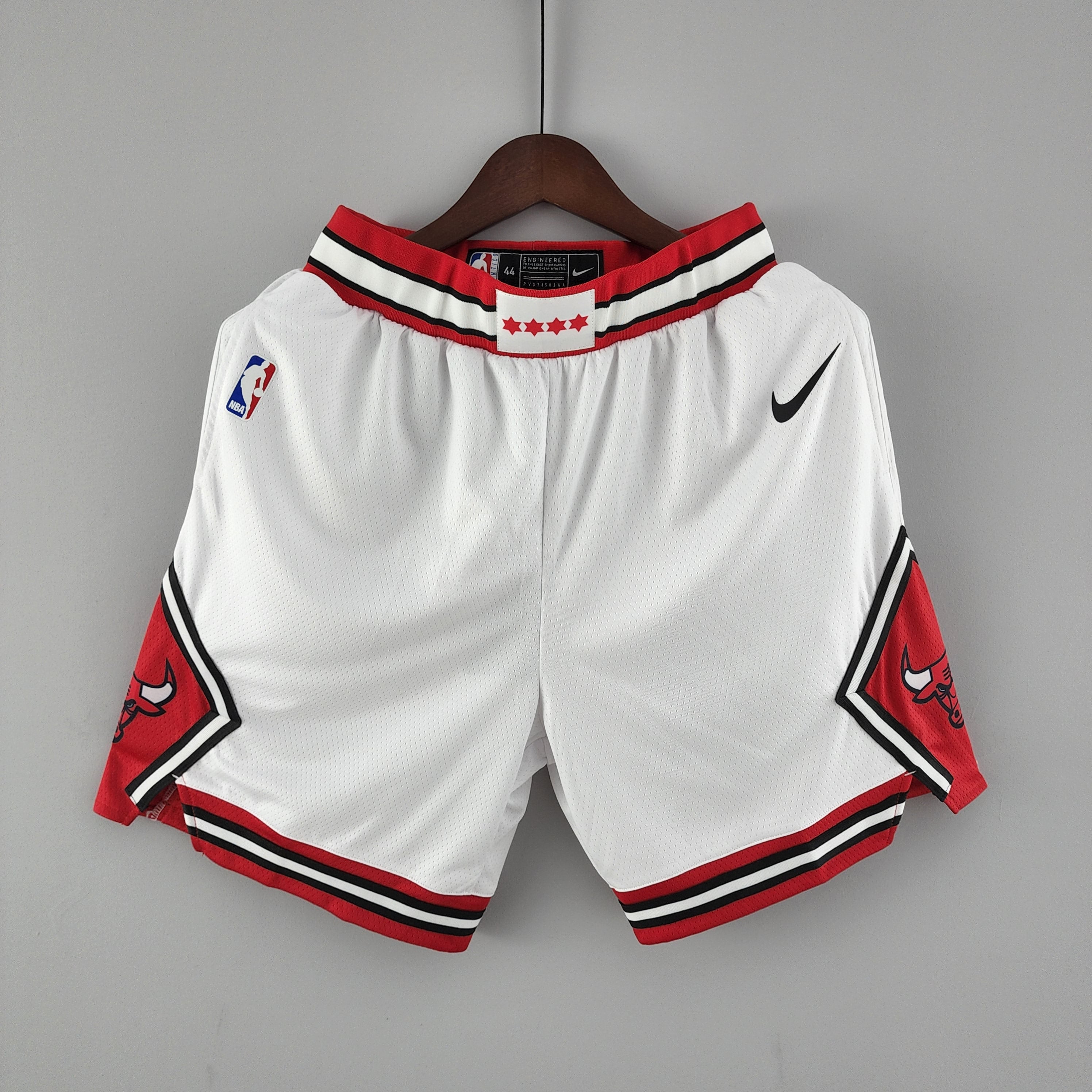 2023 Chicago Bulls Swingman Edition Shorts