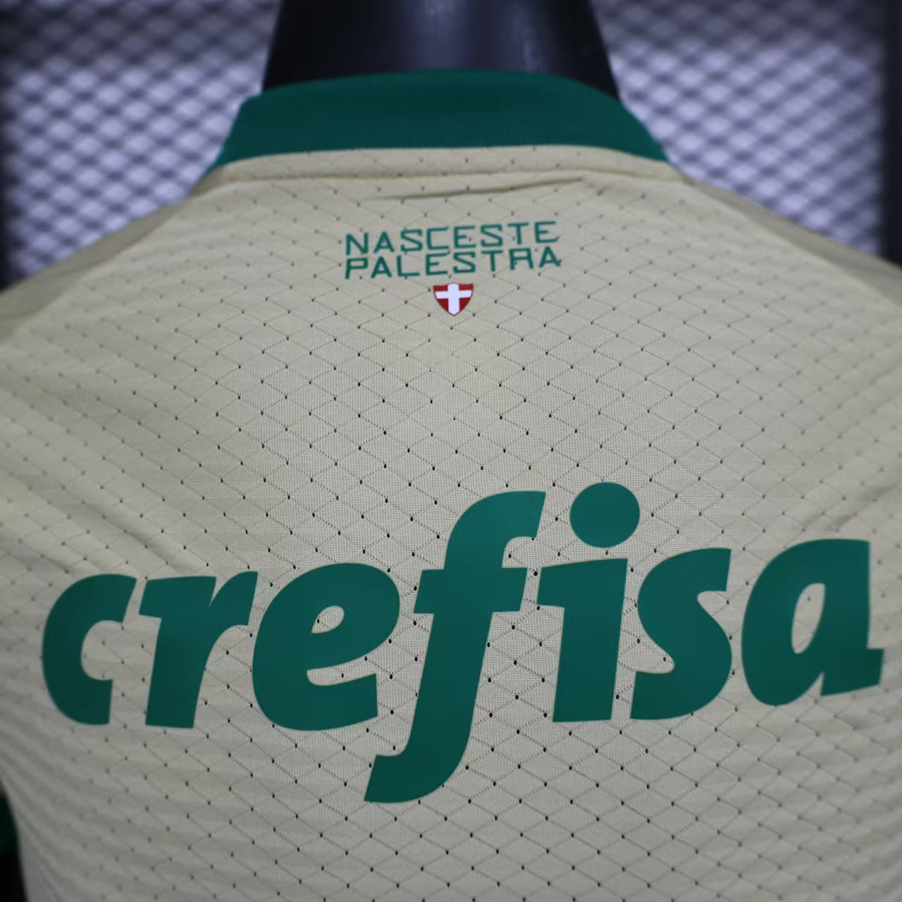 Palmeiras 24/25 Player Edition Football Jersey