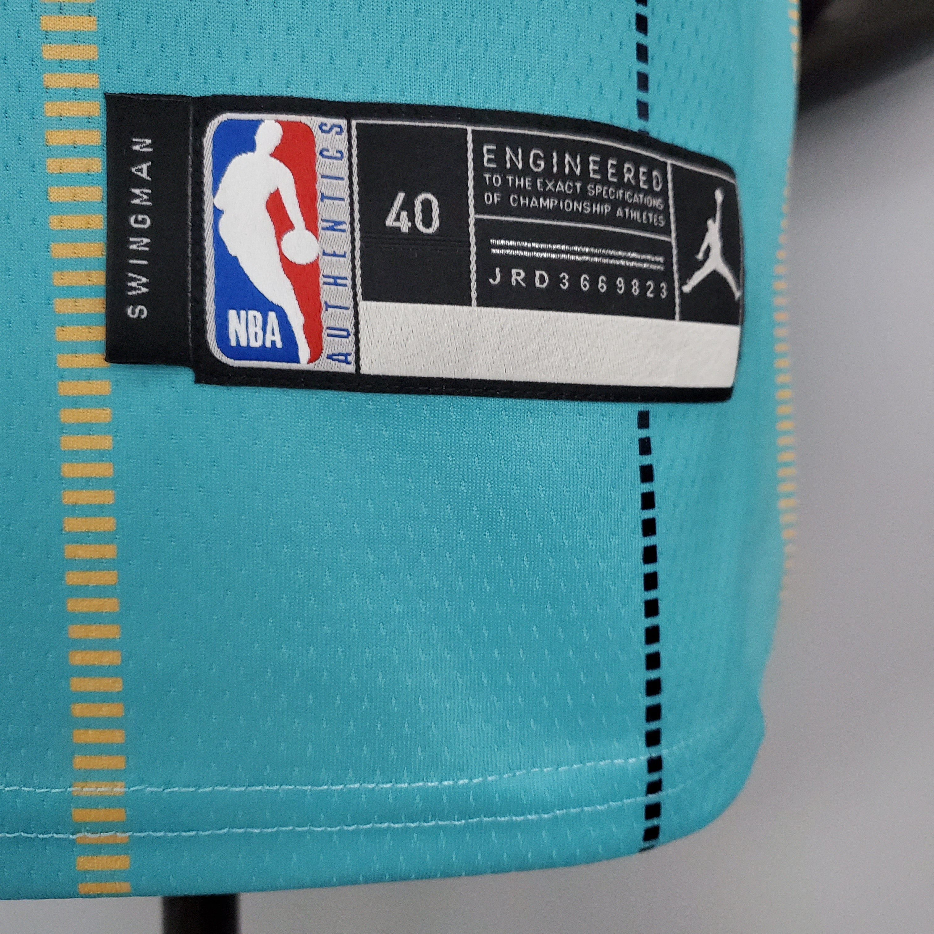 2023 Charlotte Hornets Hayward #20 Swingman Edition Jersey